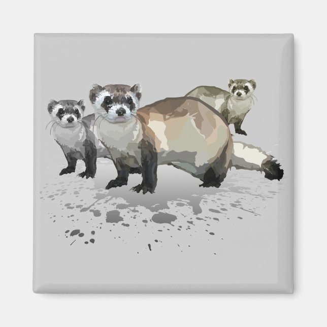 Íman Furões (Frente)