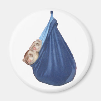 Íman Furões Em Um Saco Dormindo