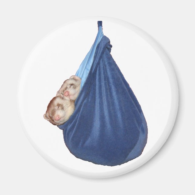 Íman Furões Em Um Saco Dormindo (Frente)