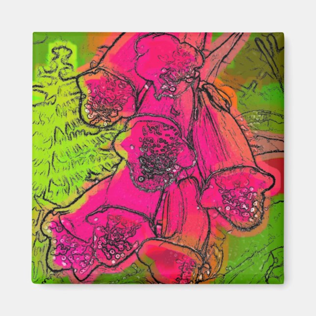 ÍMAN FUXGLOVAS (Frente)