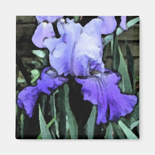 Íman FX - Íris Azul (Frente)