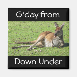 Íman G-day from Down under Kangaroo Magnet