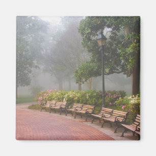 Íman GA Savannah, Azaleas junto à calçada e