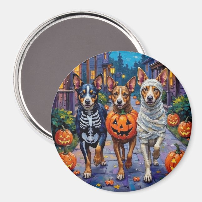 Íman Gado Australiano Fazendo Trick-or-Treat no Hallowe (Front/Back)