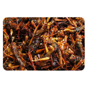 Íman Gafanhoto (Takkataen Thot) Comida Asiática