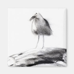 Íman Gaivota 2012 de Califórnia