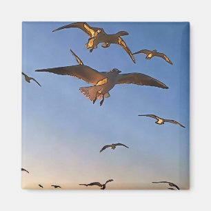 Íman Gaivotas Na Arte De Contorno Preta De Voo