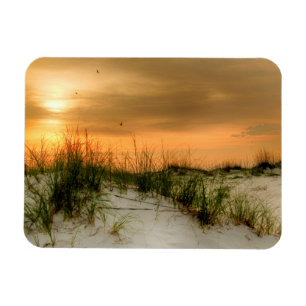 Íman Gaivotas no nascer do sol