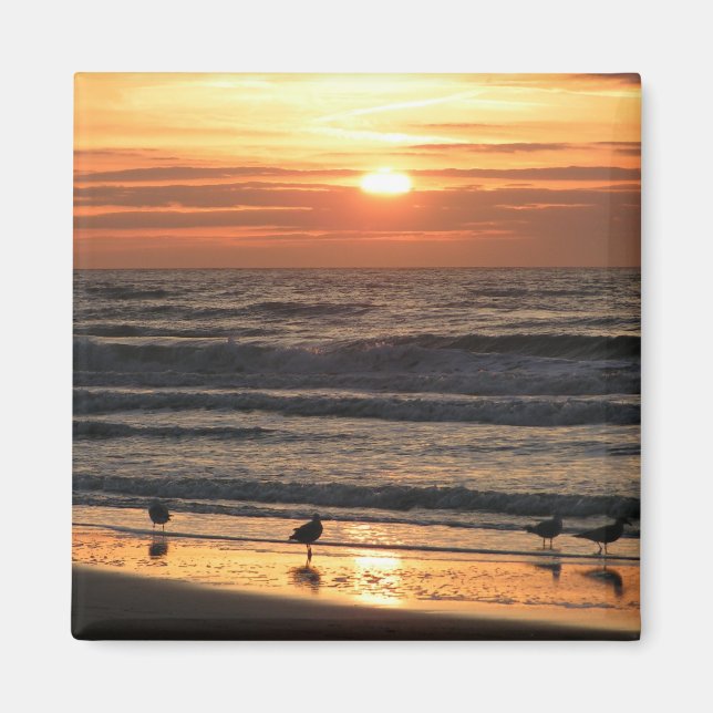 Íman Gaivotas pelo mar ao pôr do sol (Frente)