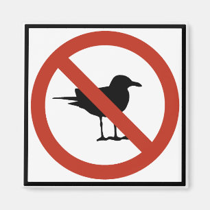 Íman Gaivotas proibidas