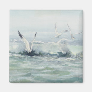 Íman GAIVOTAS & SURF por SHARON SHARPE