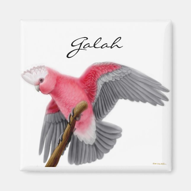 Íman Galah Cockatoo (Frente)