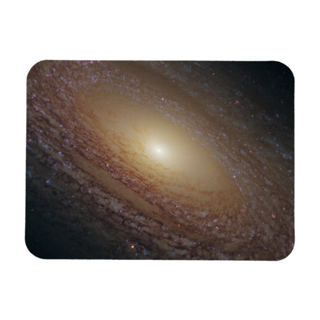 Íman Galáxia Espiral Ngc 2841 (Horizontal)
