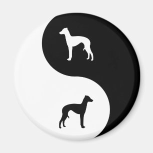 Íman Galgo italiano Yin Yang