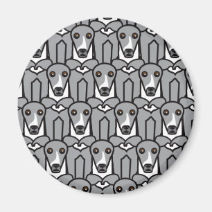 Íman Galgos italianos