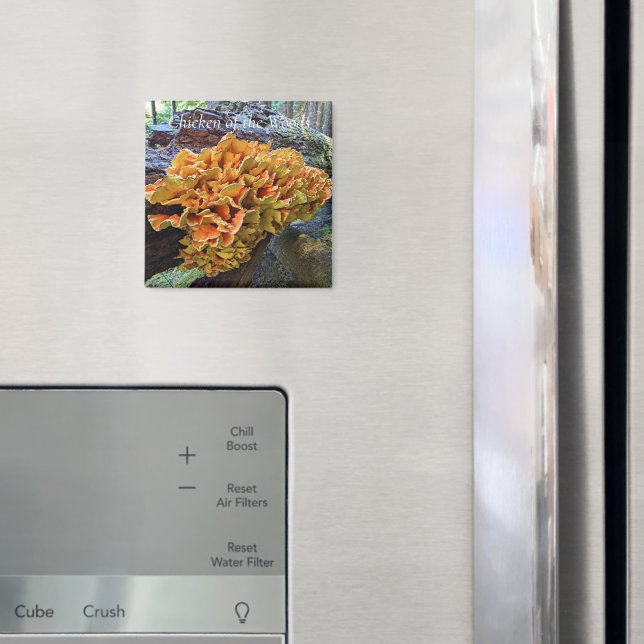 Íman Galinha do Cogumelo Woods Foto (In Situ (Fridge))