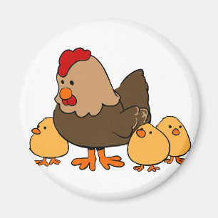 Íman Galinha e pintinhos