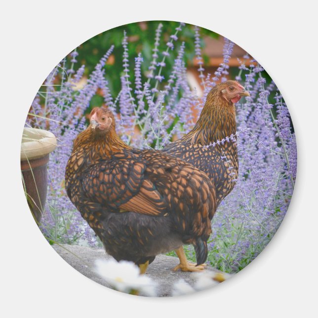 Íman Galinha Floral Magnet (Frente)
