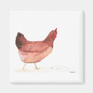 Íman Galinha galinha aquarela animais de criação aves d