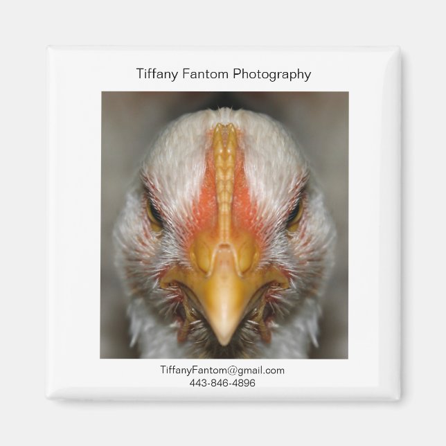 Íman Galinha Promo Piece (Frente)