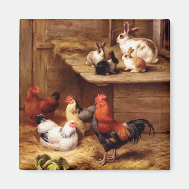 Íman Galinhas com galo de coelhos animais de criação co (Frente)