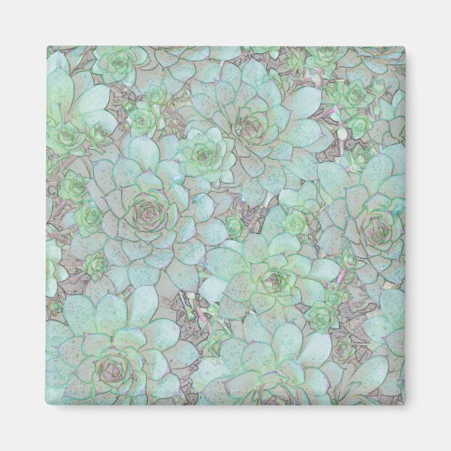 Íman Galinhas E Pintinhos (Frente)