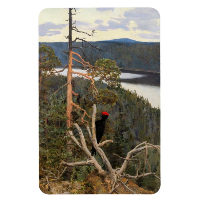 Íman Gallen-Kallela - Pica-Pau Negro Excelente 1894 (Vertical)