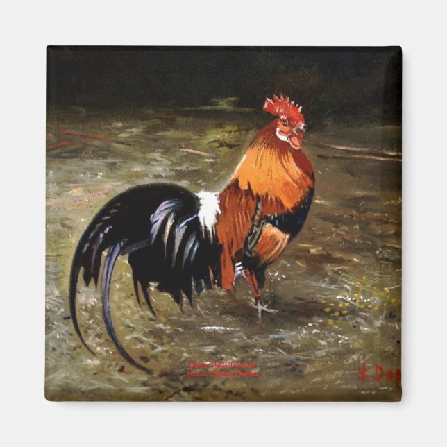 Íman Gallo/Galo/Frango (Frente)