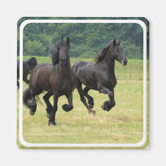 Íman Galloping Friésio Horses (Frente)