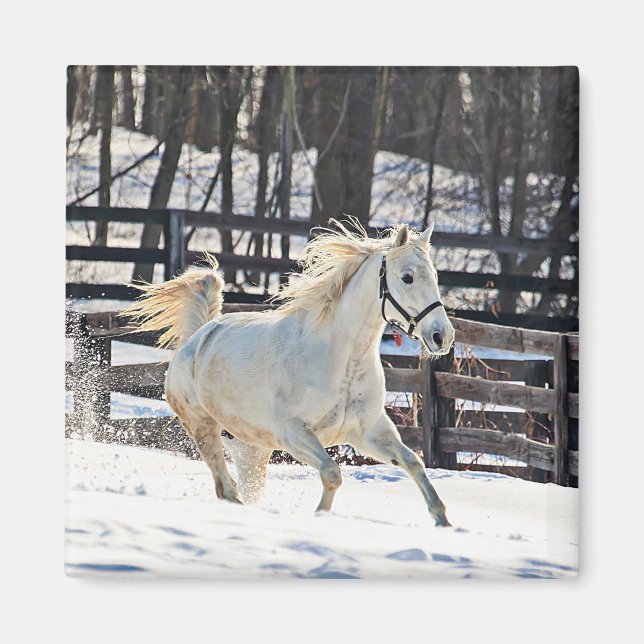Íman Galloping White Horse (Frente)