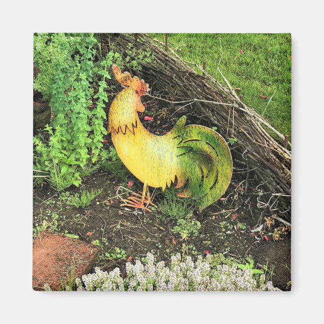 Íman Galo Amarelo e Verde (Frente)