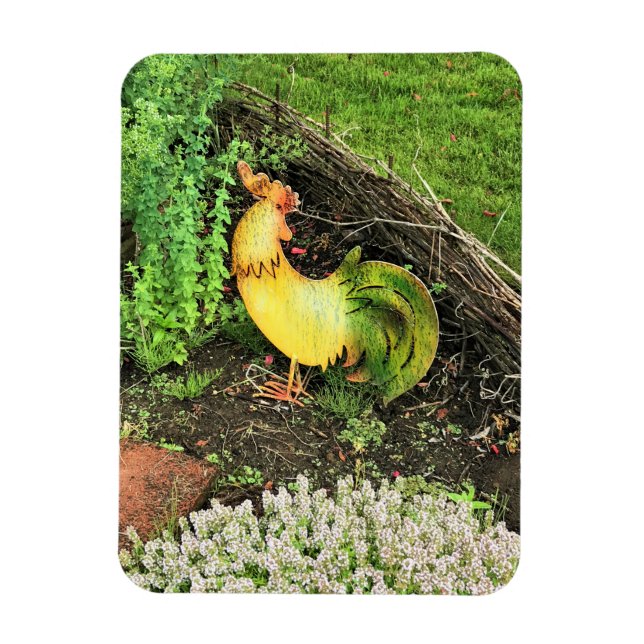 Íman Galo Amarelo e Verde (Vertical)