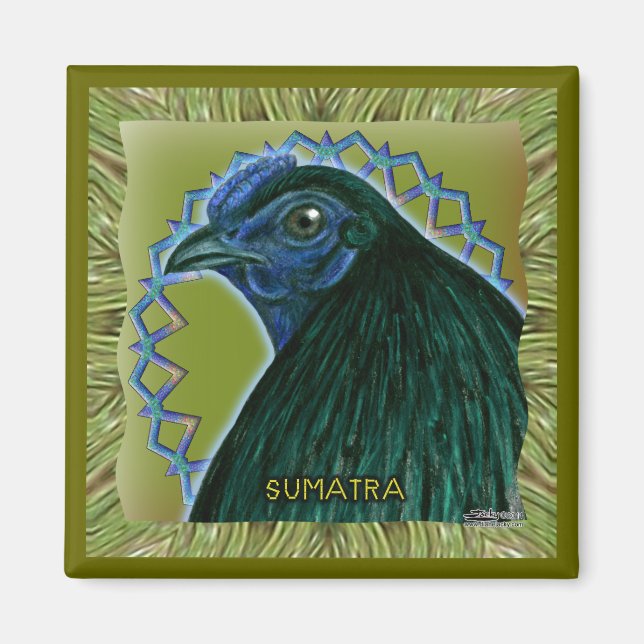 Íman Galo de Sumatra emoldurado (Frente)