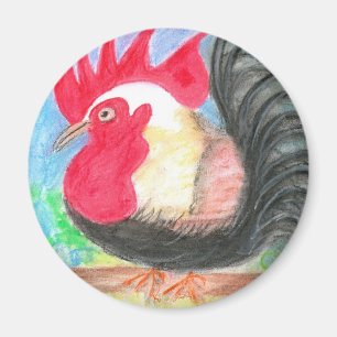 Íman galo do rollo