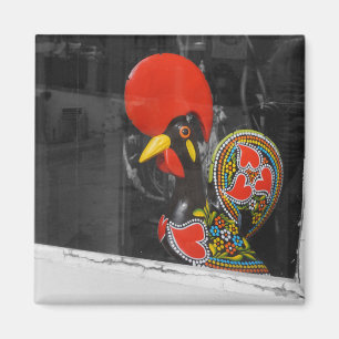 Íman Galo famoso da foto de Barcelos - Portugal