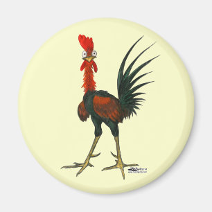 Íman Galo Louco