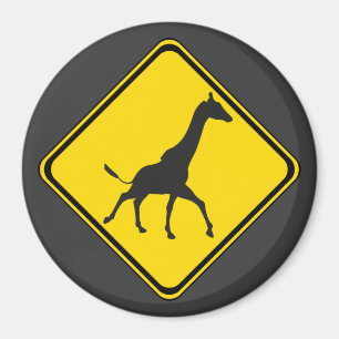 Íman Galopando Girafas Xing!