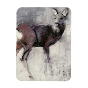 Íman Gama 2000 das ovas