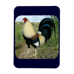 Íman Gamecock da Estrada do País