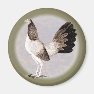 Íman Gamecock: Hennie