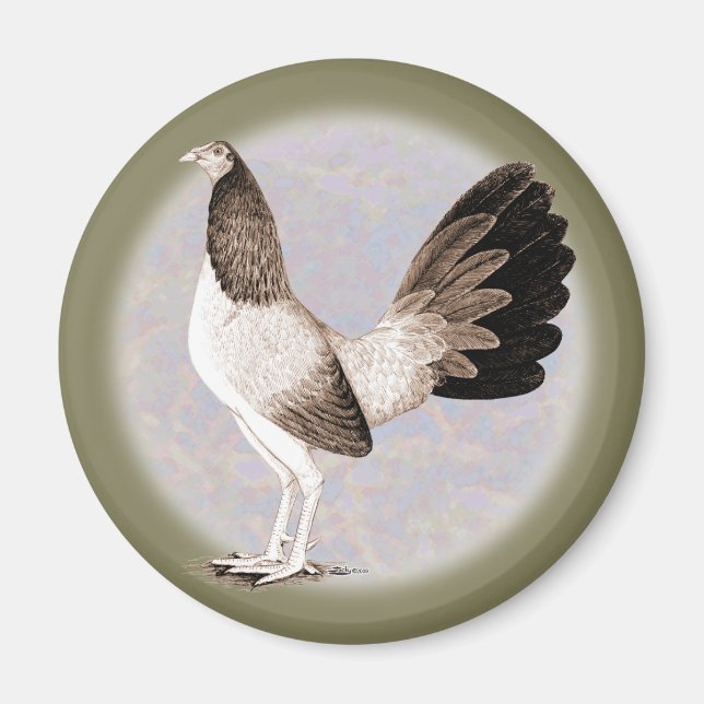 Íman Gamecock: Hennie (Frente)