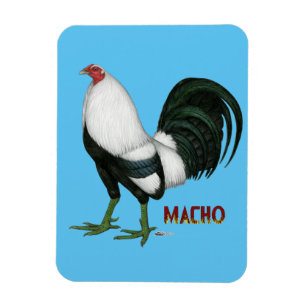 Íman Gamecock Macho Duckwing