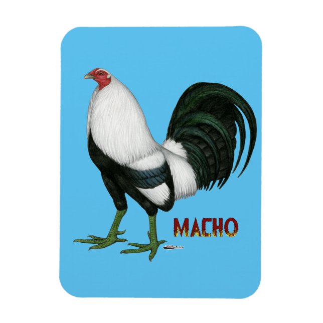 Íman Gamecock Macho Duckwing (Vertical)