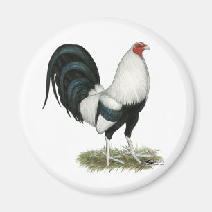 Íman Gamecock prateado