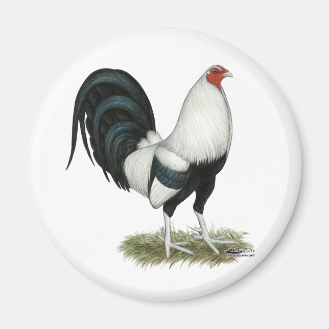 Íman Gamecock prateado (Frente)