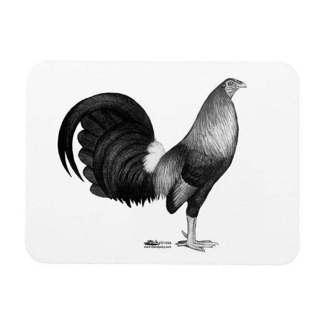 Íman Gamecock Red Hatch (Horizontal)