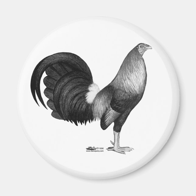 Íman Gamecock Red Hatch (Frente)