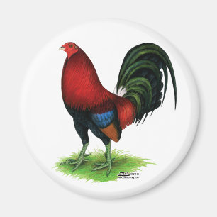 Íman Gamecock: Vermelho escuro