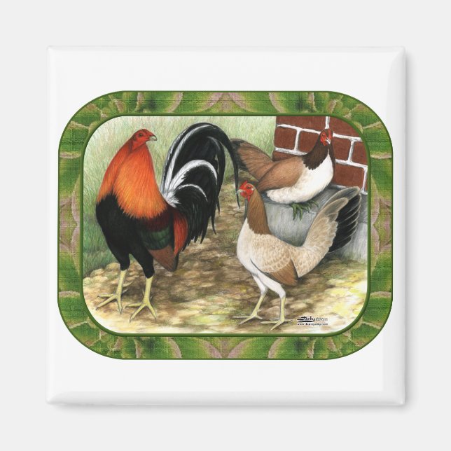 Íman Gamefowl na Fazenda (Frente)