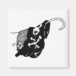 Íman Gancho do pirata